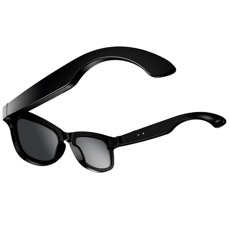 META AI Glasses