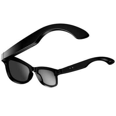 META AI Glasses